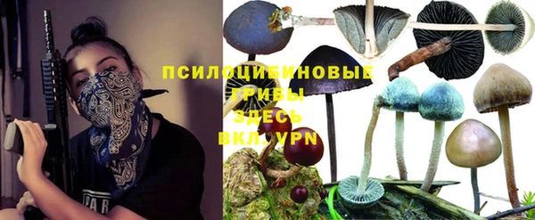 мет Козловка