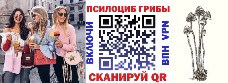 Псилоцибиновые грибы Psilocybine cubensis  Оренбург 